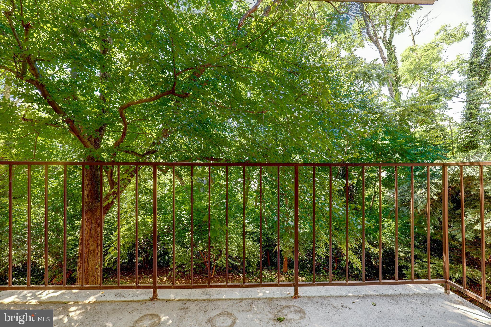 6250 EDSALL ROAD 203