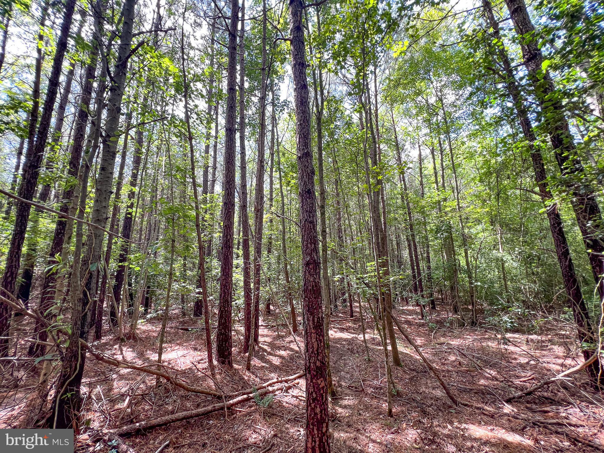 25.5 Acres LADYSMITH