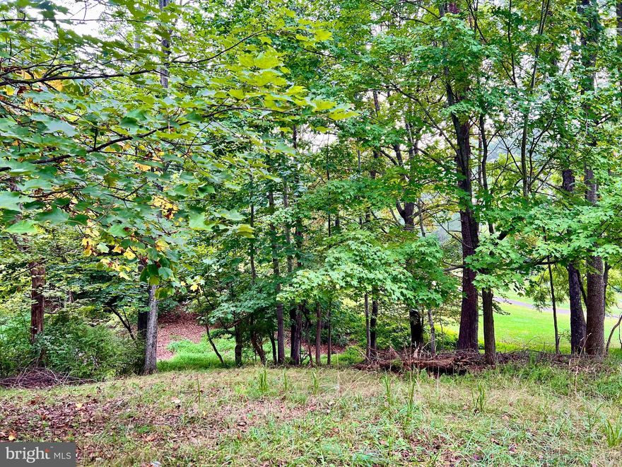 Incredible .61 Acre Home Site on Wampum Lane
Nestled in a sought-after section of The Woods, this .61-acre homesite offers the perfect blend of privacy and community living. A current active Class A membership conveys with the property, giving you full access to all The Woods Club amenities—including golf, swimming, fitness, tennis, pickleball, and more.

Bring your vision to life on this buildable lot and enjoy everything this established community has to offer, from peaceful wooded surroundings to a vibrant lifestyle just outside your door.