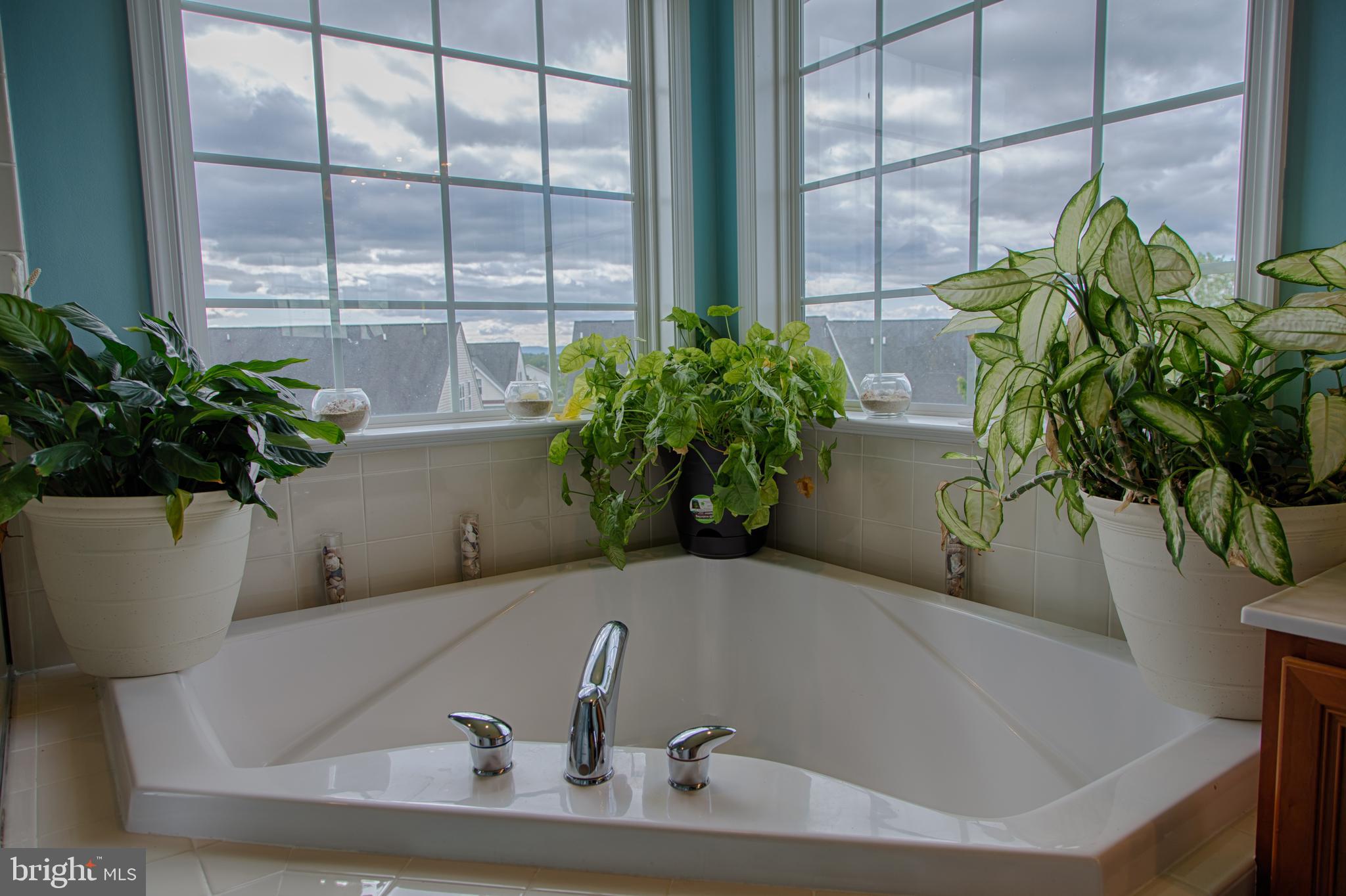 HAMMONDS MILL - Residential