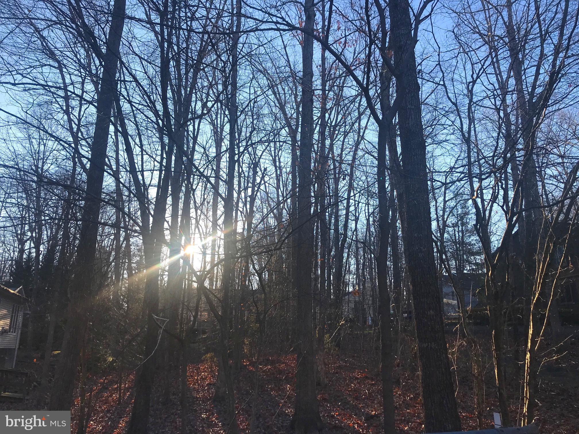 LAKE OF THE WOODS - Land