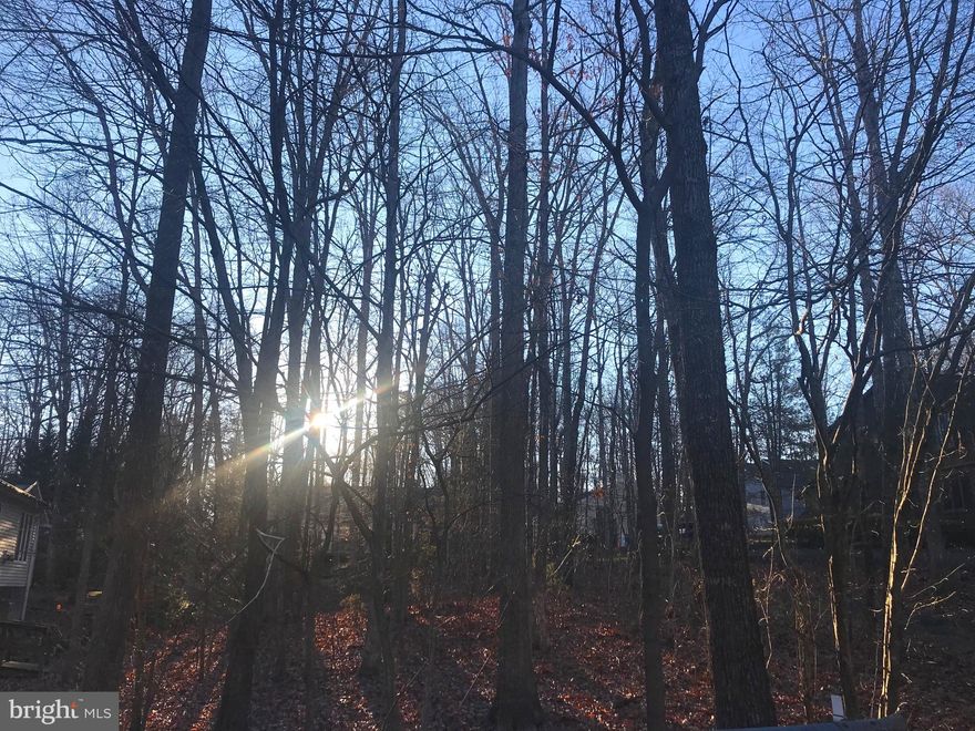 Welcome to 205 Edgehill Drive... a fabulous lot within walking distance to a beach on which to build your perfect home in sought after Lake of the Woods! Mature trees and close to the front gate make this the one! So get your lake life started by building your perfect place at the lake on one of the few remaining lots! A private, gated, secured community, Lake of the Woods offers anything and everything you could possibly want. Home to two lakes (the 550 acre main lake and a 35 acre "fishing lake"), a golf course, an equestrian center, a fire and rescue department, and a church all within the gates, Lake of the Woods simply has it all. Whether your passion is boating, waterskiing, kayaking, golfing, horseback riding, tennis, pickle ball, or simply taking in the breathtaking views from the clubhouse while enjoying a fabulous meal, from your own deck or yard, or from one of the beaches, you will be wowed! Perhaps you'd like a game of bridge or volunteering your time and talents...Lake of the Woods offers more than 60 clubs and/or organizations from which you may choose to become involved. Located in Orange County, we are fortunate to enjoy low real estate taxes. Coupled with home prices ranging from $150,000+ to over $2,000,000, Lake of the Woods is the perfect community for both full-time residents, as well as weekenders. But don't take my word for it, please come see for yourself! I will gladly give you a tour of Lake of the Woods by boat and by car so that you may experience why I love Lake of the Woods!