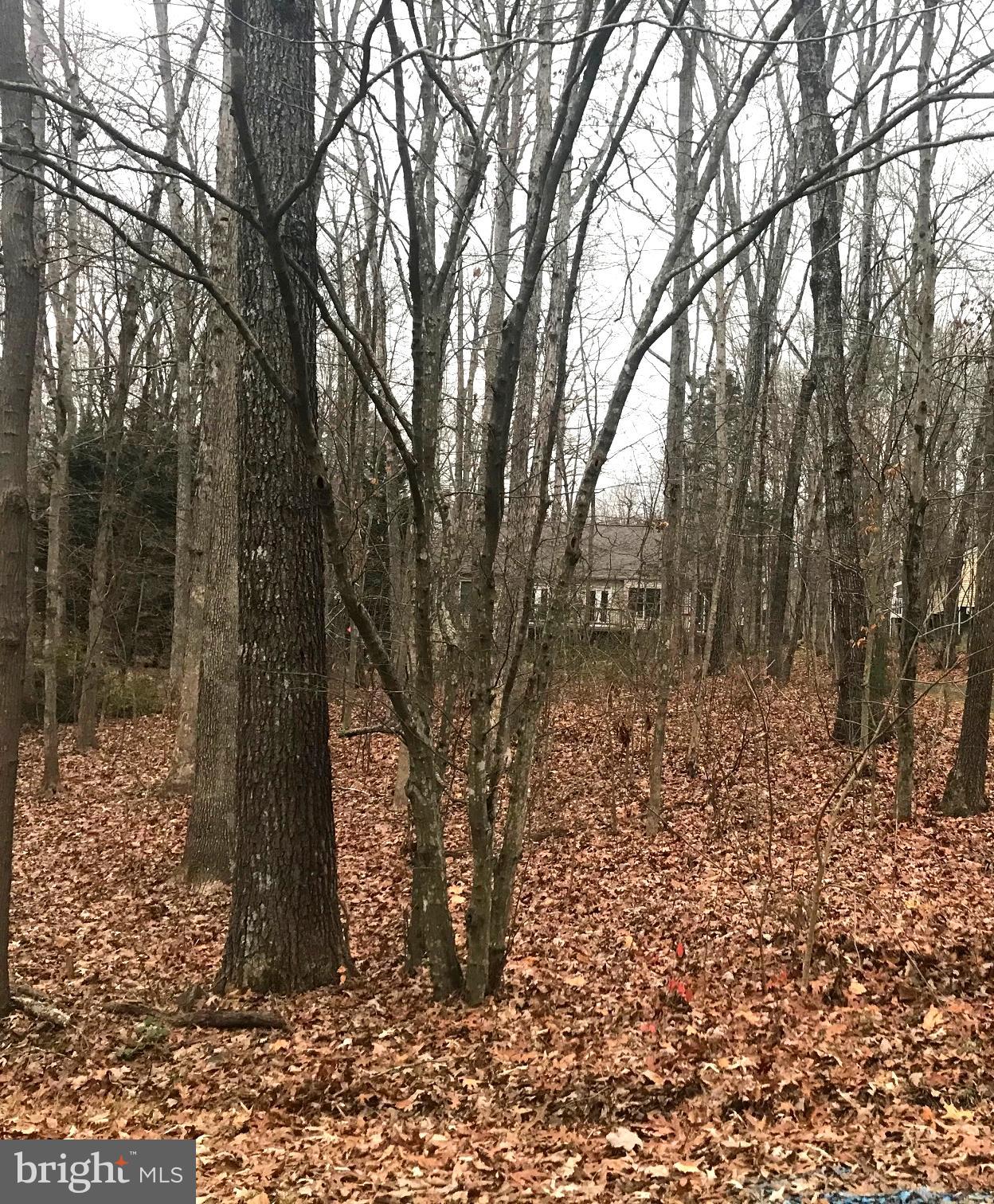 LAKE OF THE WOODS - Land