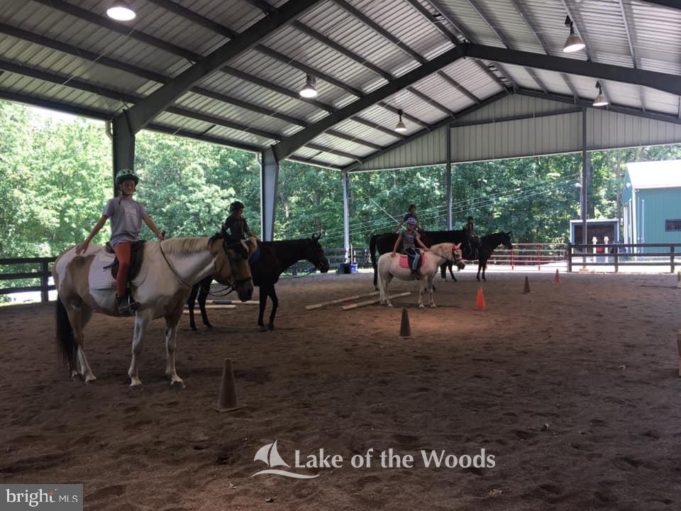 LAKE OF THE WOODS - Land