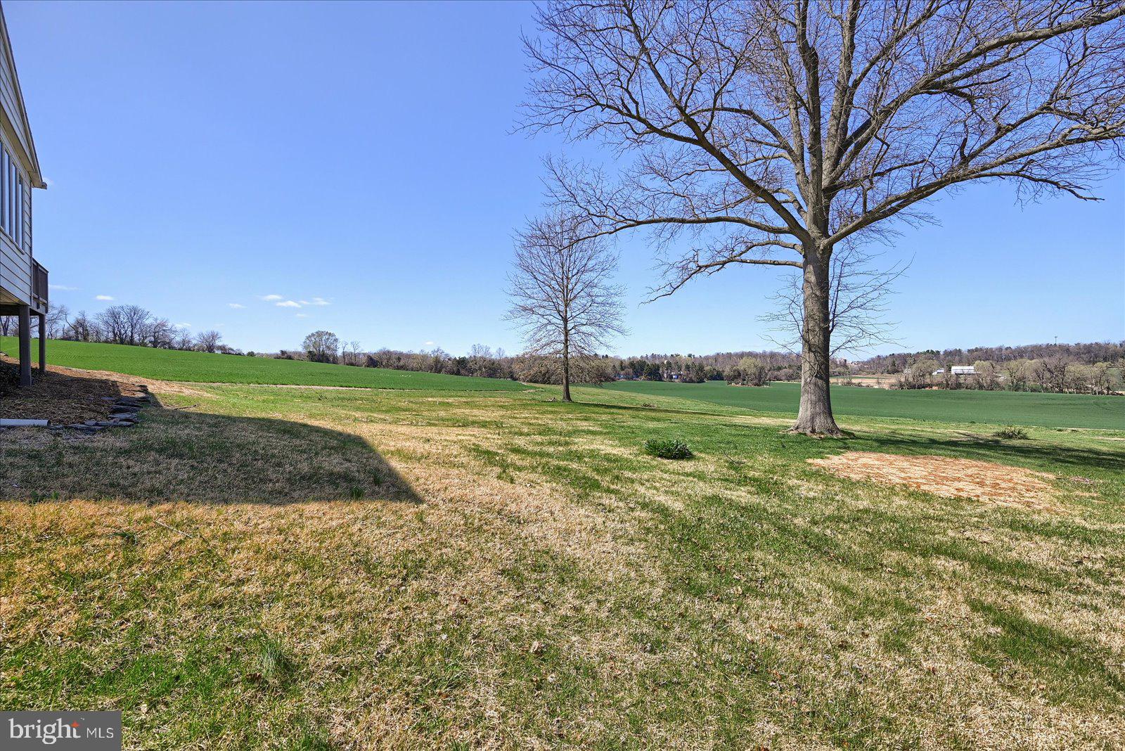 CLEARSPRINGS/HAYSHIRE - Residential