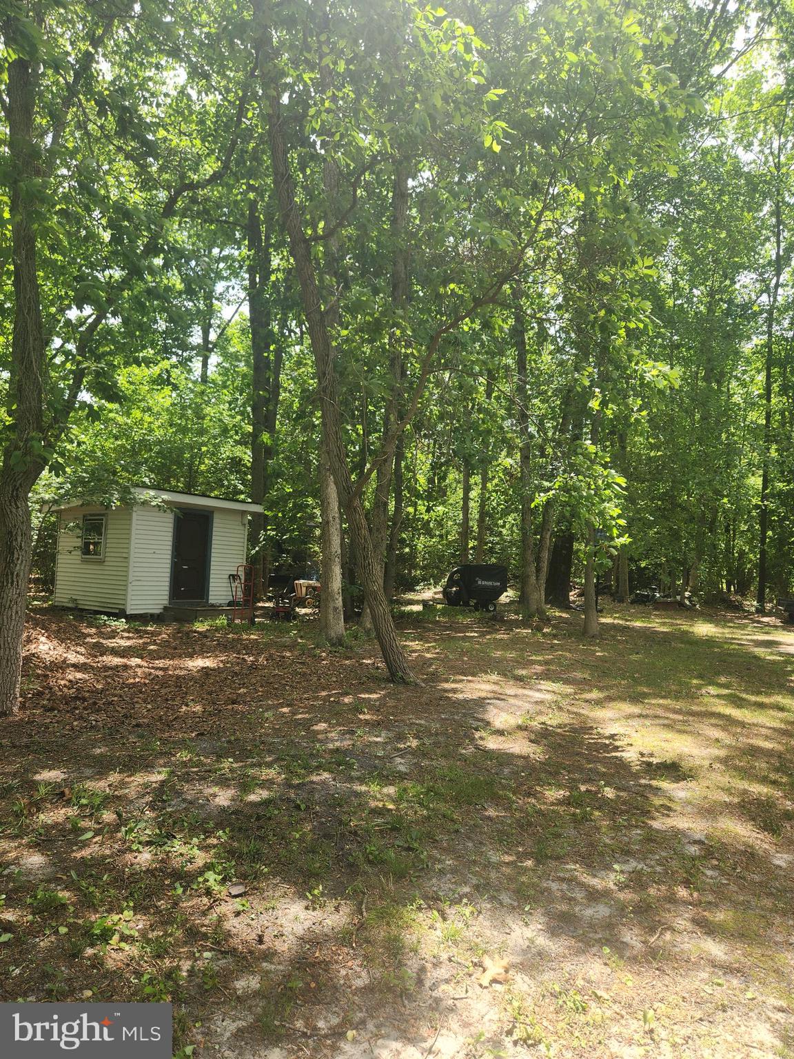 205 PEARTREE AVENUE