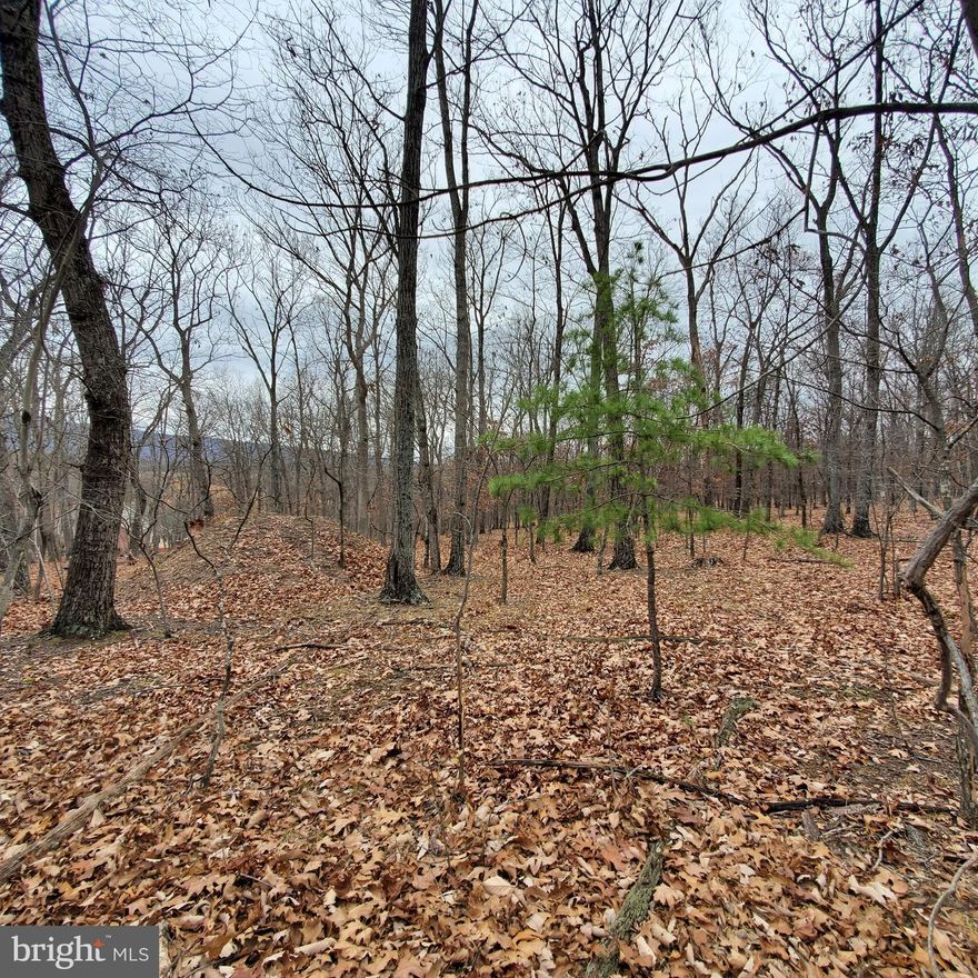 Fantastic building lot minutes from 522 and Berkeley Springs.  Has been perced.  Just over 2 acres with cleared access from Tabor Road.  Beautiful scenery and mountain views in winter.  Nice rectangular shaped lot filled with hardwoods.  Your dream home is waiting to come to life!  Some deed restrictions, no HOA.