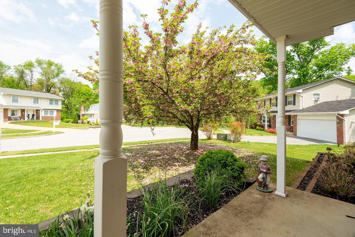 12904 DAUPHIN COURT