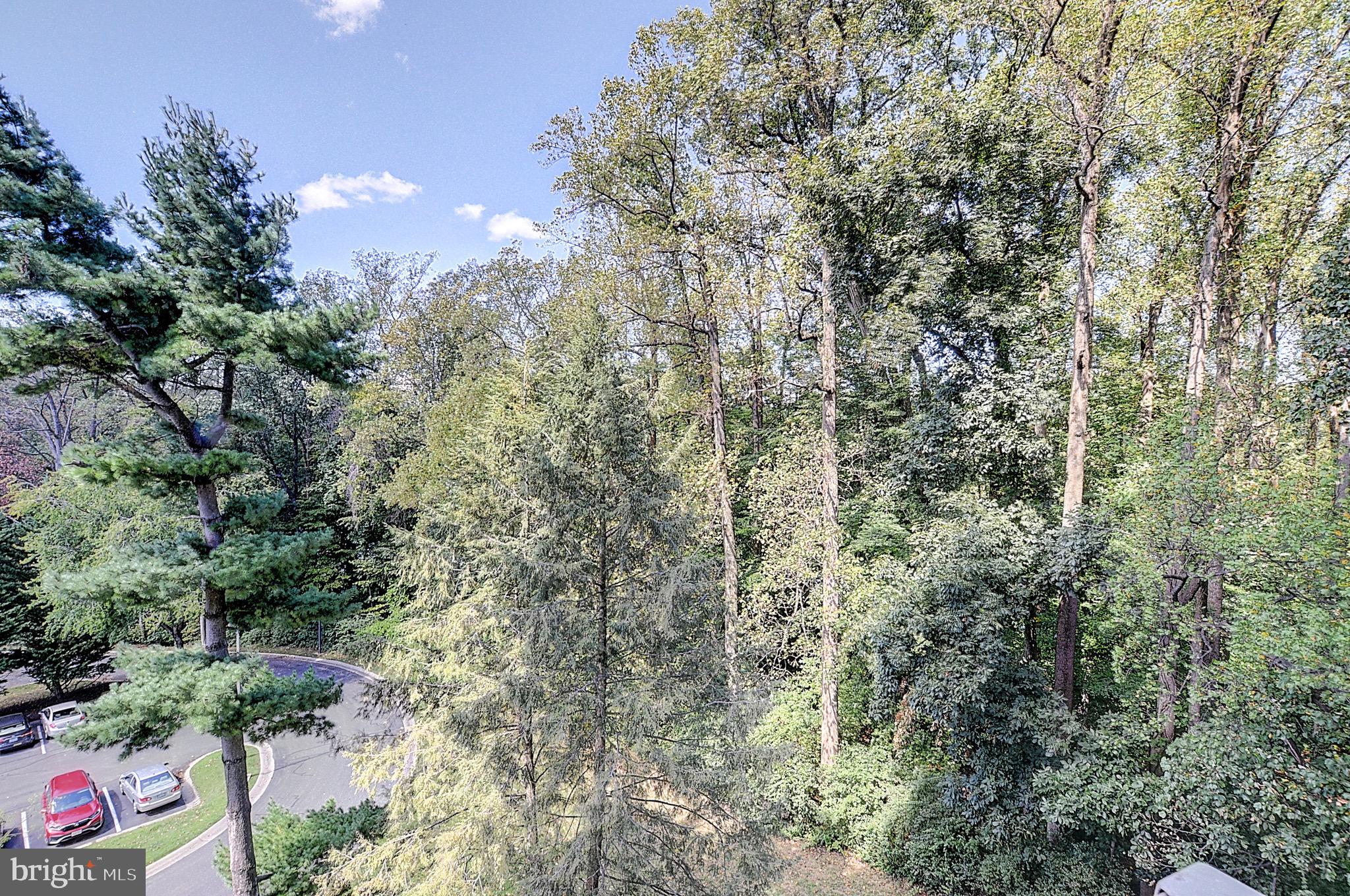 PROMENADE TOWERS - Residential Lease