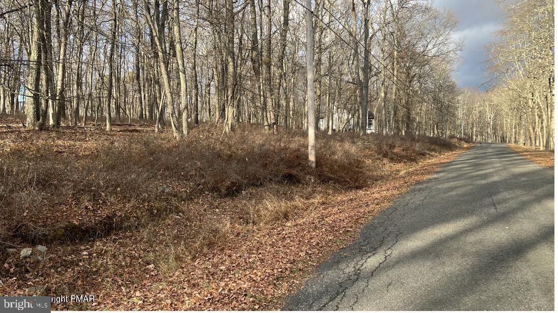 ATTENTION HUNTERS! TO BE BUILT is your dream home! Close to PA game lands or join the private clubs nearby. Community offers amenities such as a pool, skiing, playground, clubhouse, horseback riding, and more. It's also conveniently located near all Pocono attractions. HOME IS ONE POSSIBLE BUILD. Bring your own contractor and your imagination.