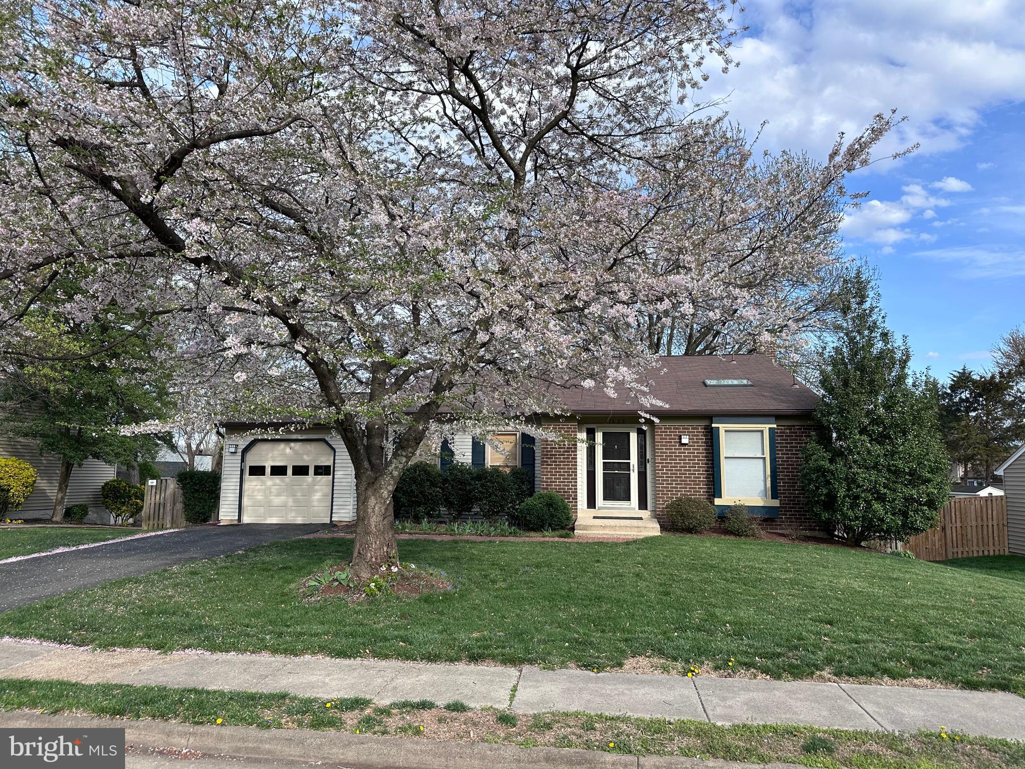 KINGSTON CHASE - Residential