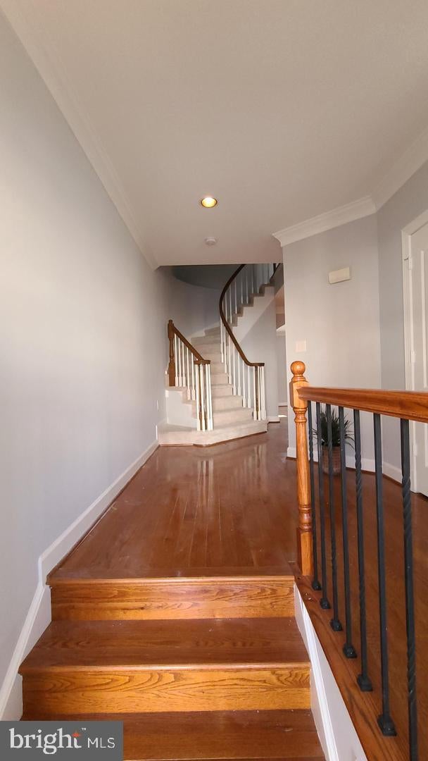 8172 MADRILLON COURT