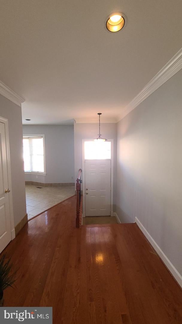 8172 MADRILLON COURT