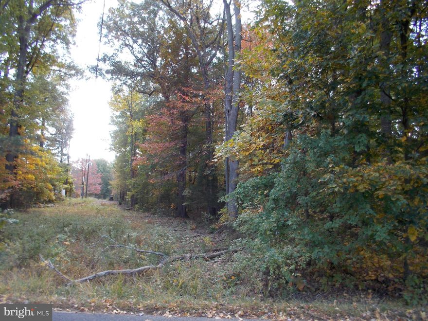 Wooded 2 acre parcel.  Come build your dream home!.  Close to Kettle Run.