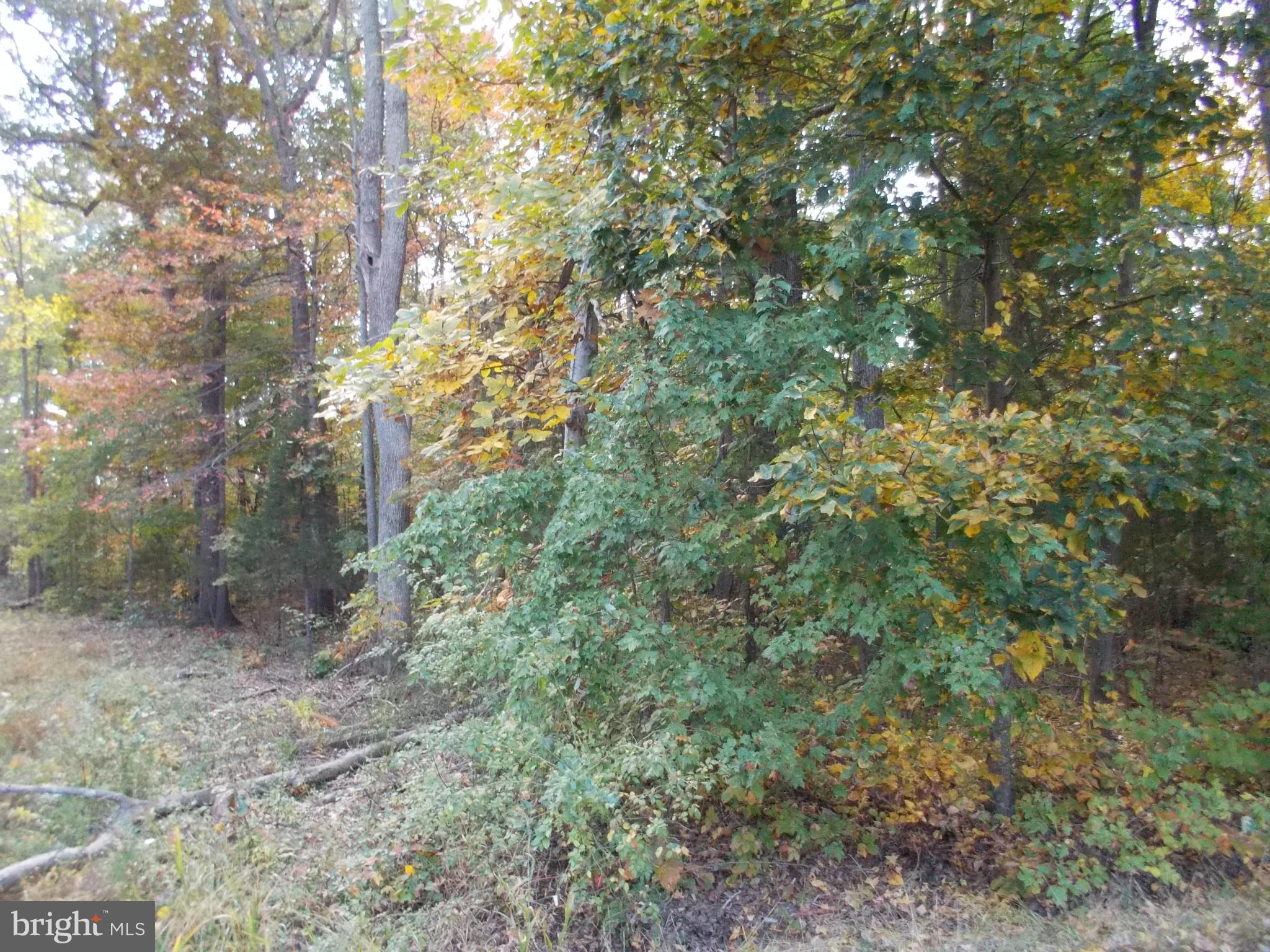 NONE AVAILABLE - Land