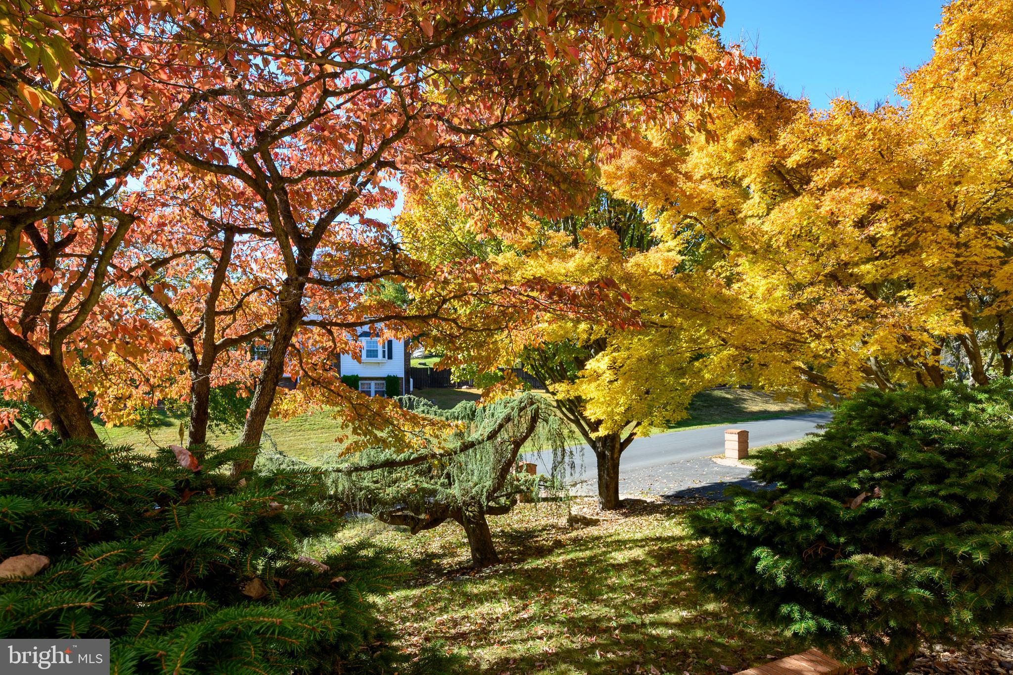 MELWOOD SPRINGS PLAT ONE - Residential