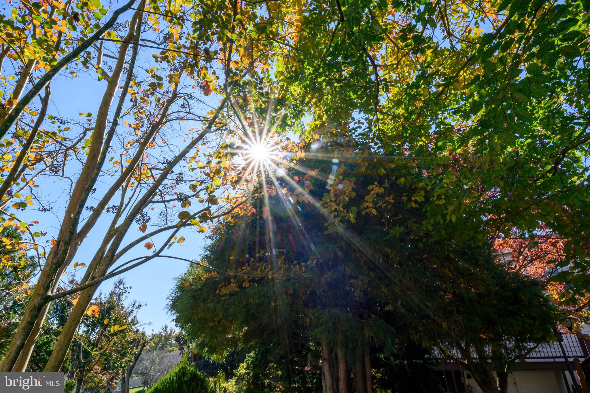 MELWOOD SPRINGS PLAT ONE - Residential