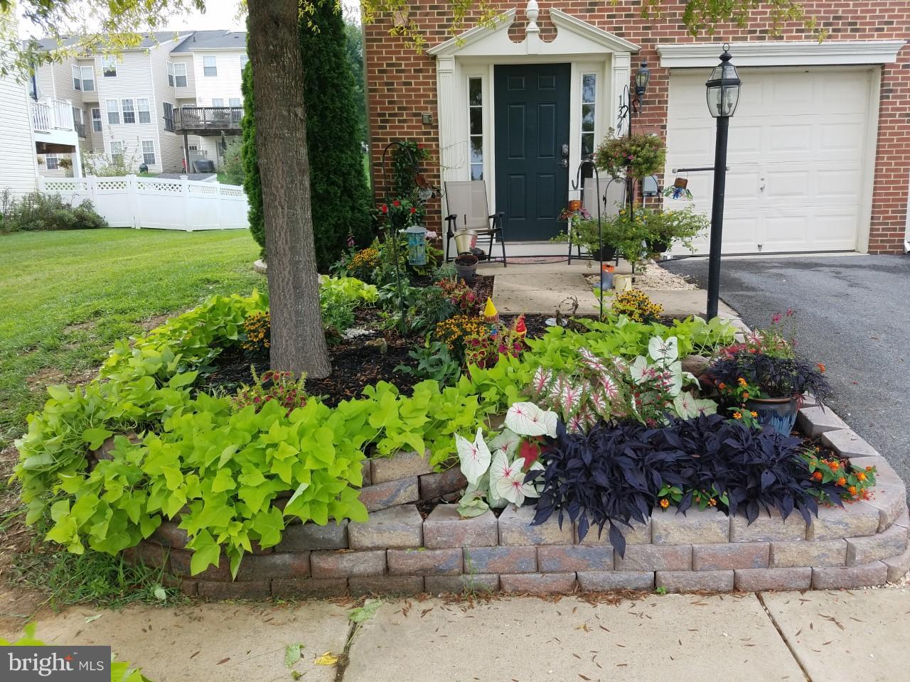 LAKELAND PLACE - Residential