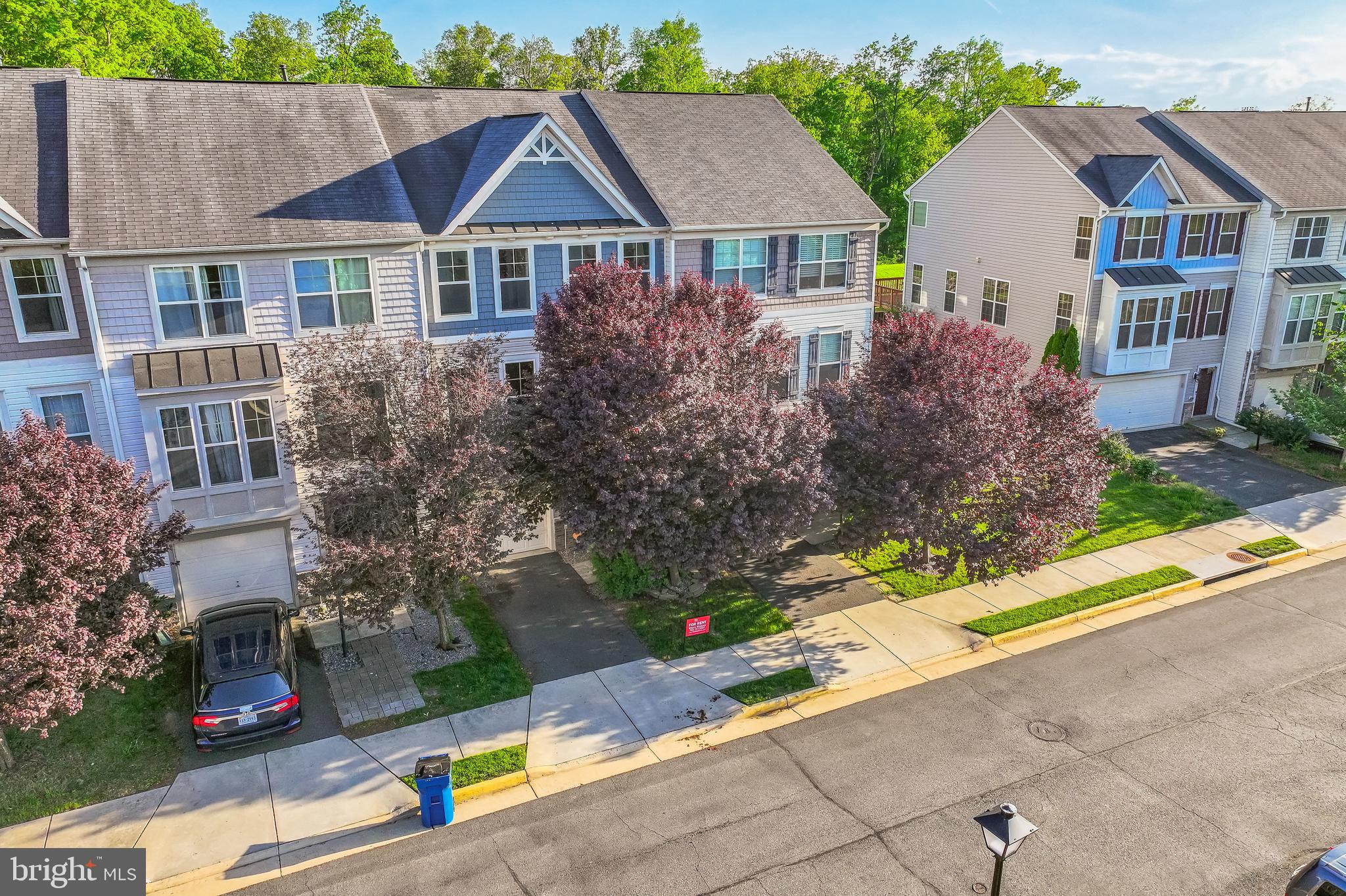 ALEXANDERS CHASE - Residential Lease