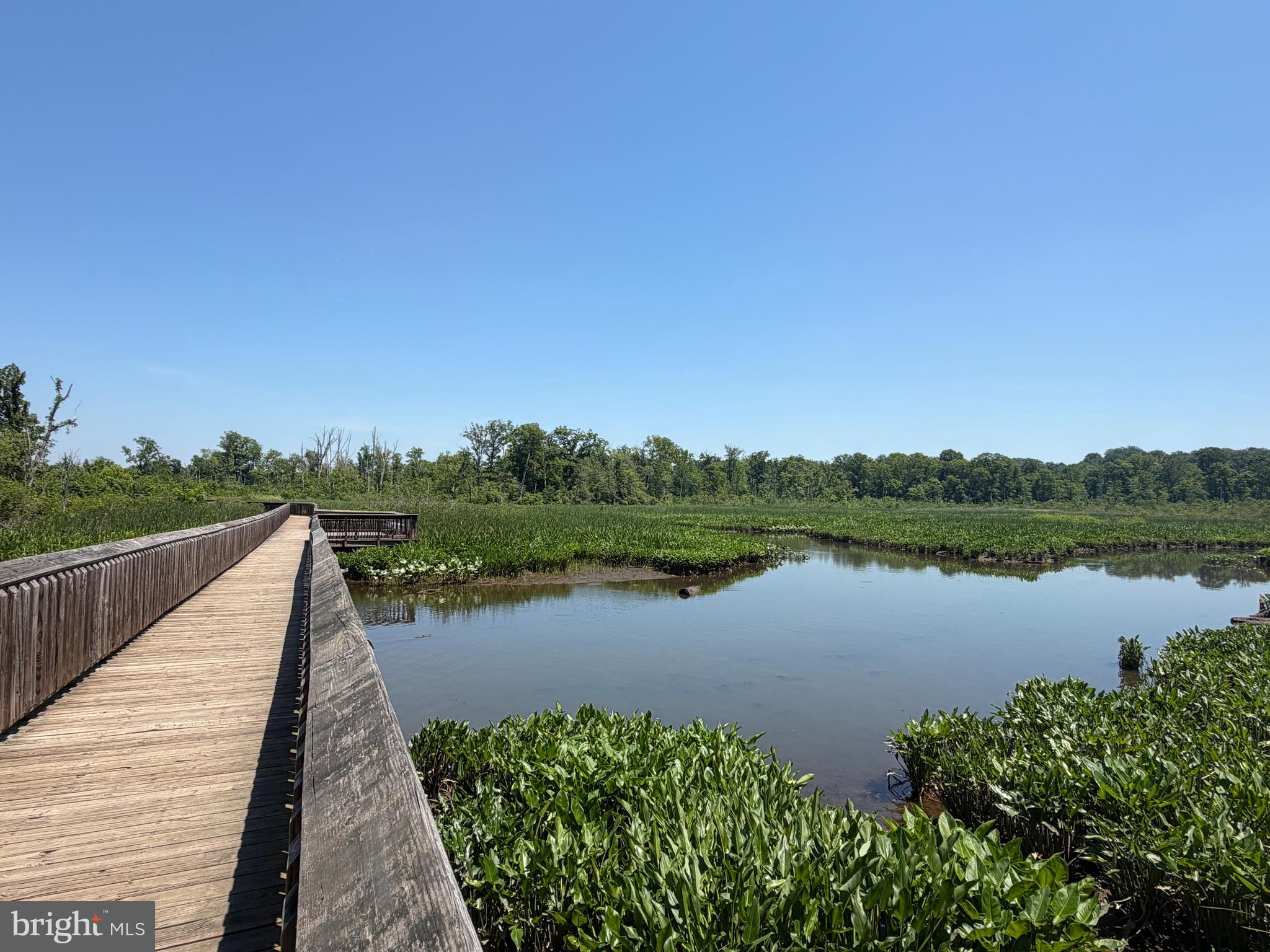 MOYAONE RESERVE - Residential