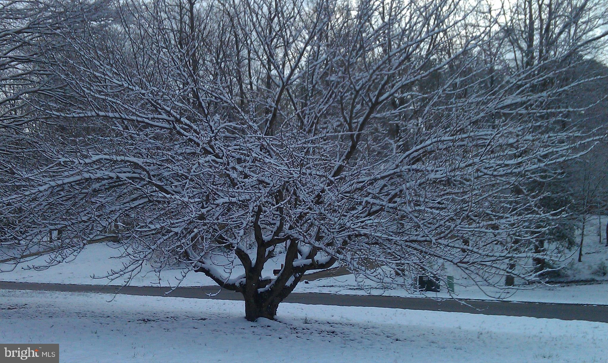 FENWICK MANOR - Residential