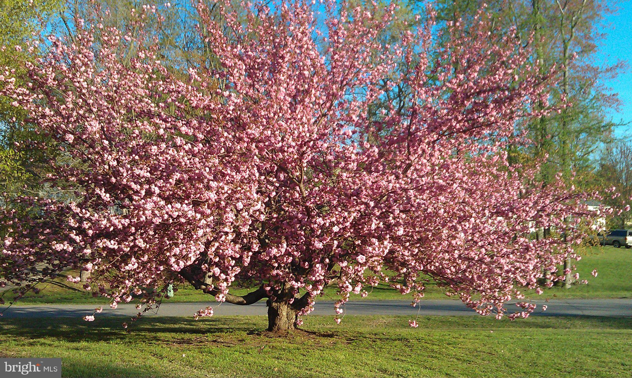 FENWICK MANOR - Residential