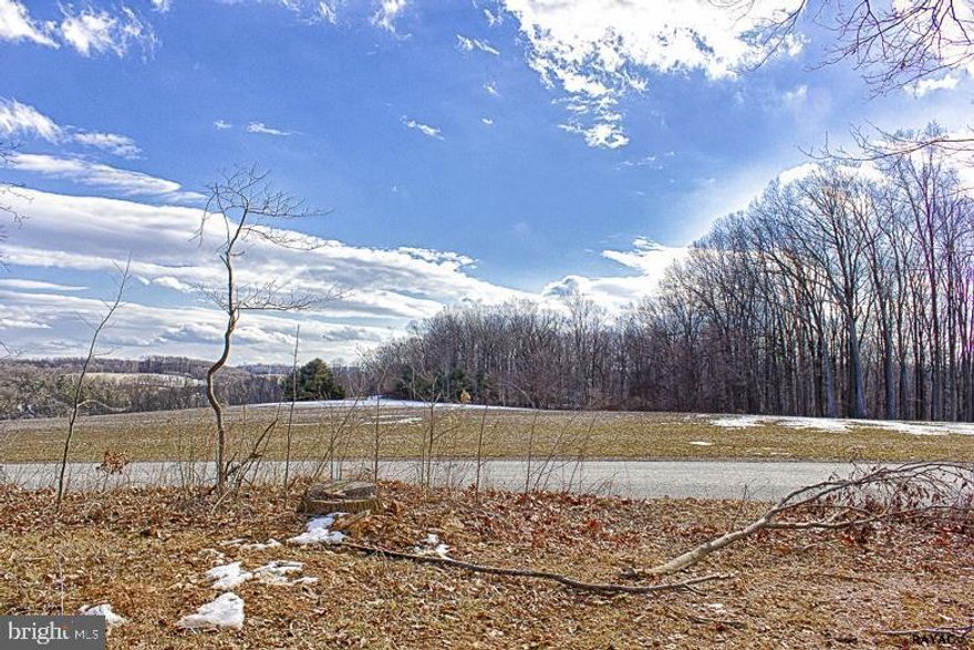 Look no more!  Lovely level lot over a 1/2 acre awaiting your dream home.  Use your own builder, build the home you have always wanted.  Well on property.