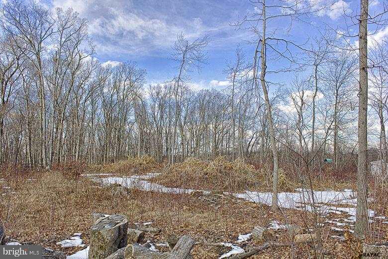 WINTERSTOWN - Land
