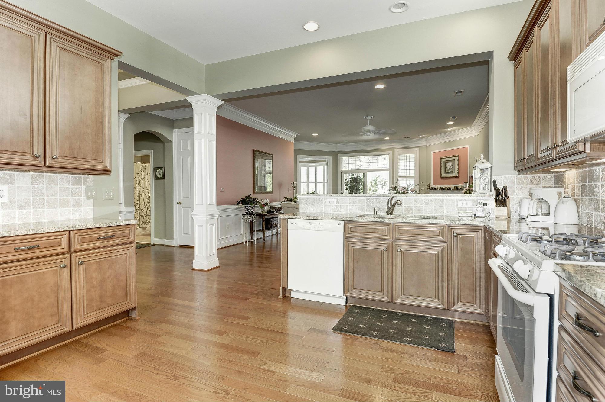 REGENCY AT DOMINION VALLEY - Residential
