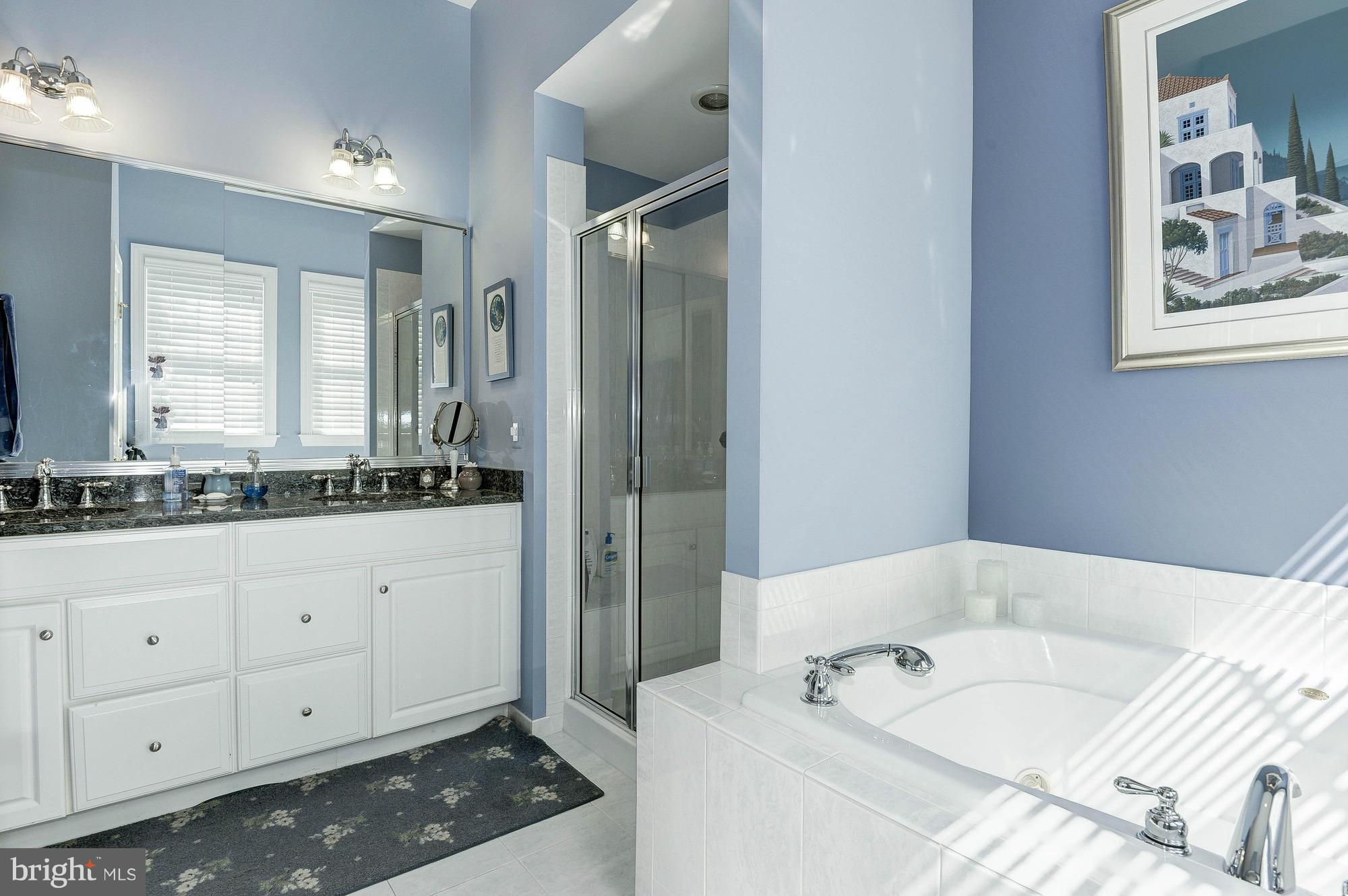 REGENCY AT DOMINION VALLEY - Residential