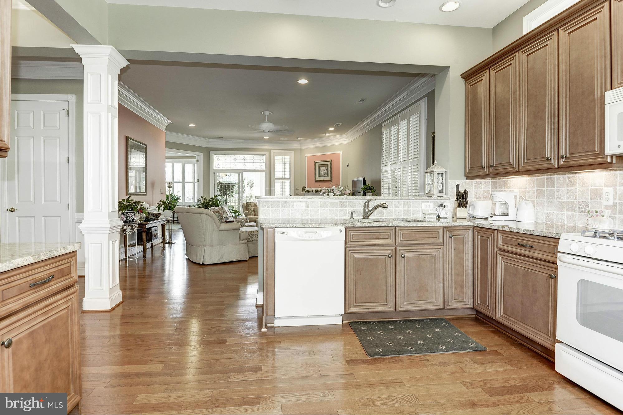 REGENCY AT DOMINION VALLEY - Residential