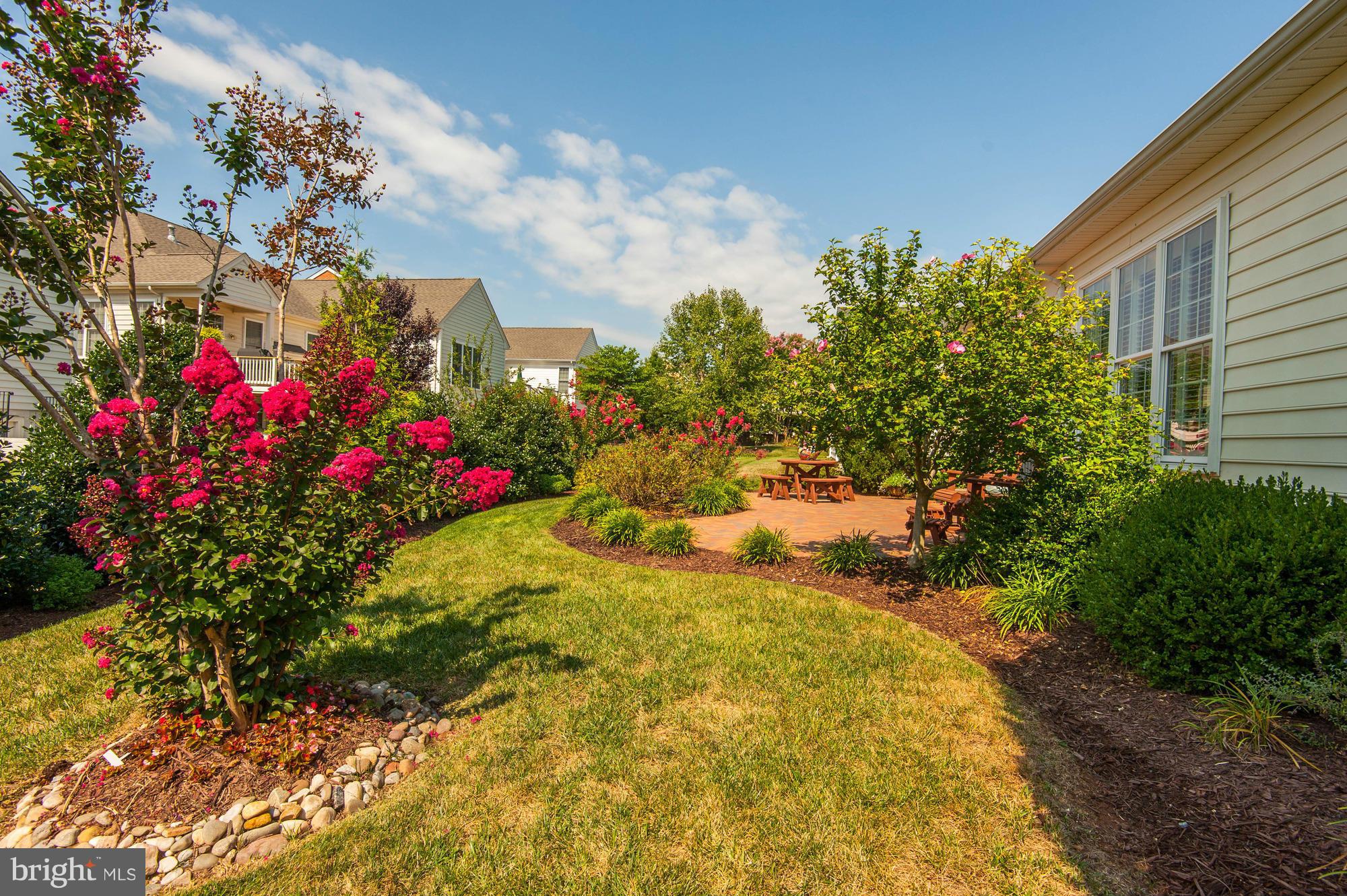 REGENCY AT DOMINION VALLEY - Residential