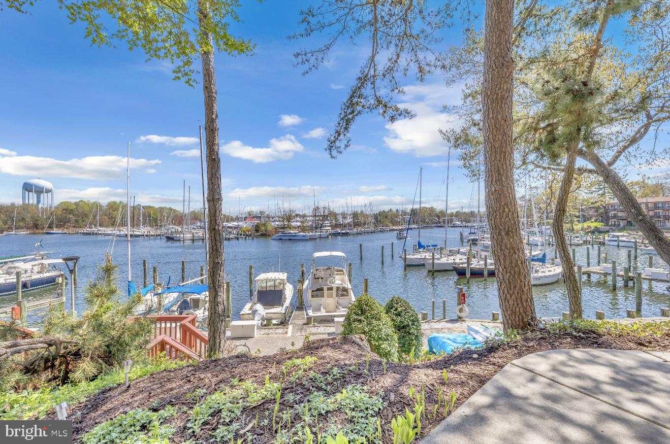 SEVERN HOUSE - Residential