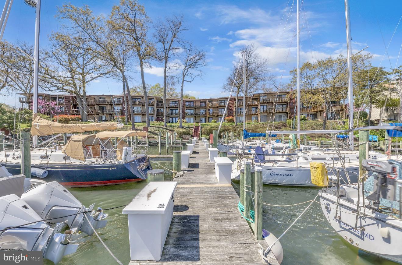 SEVERN HOUSE - Residential