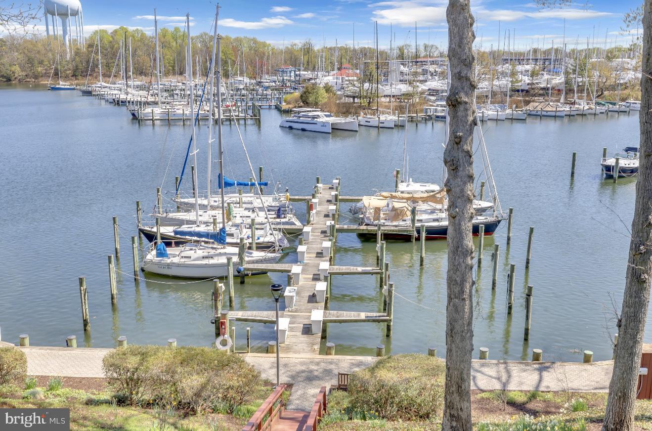 SEVERN HOUSE - Residential