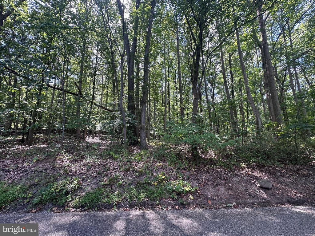 Photo of 0 Silver Lake Road, LEWISBERRY, PA 17339 (MLS # PAYK2089288)