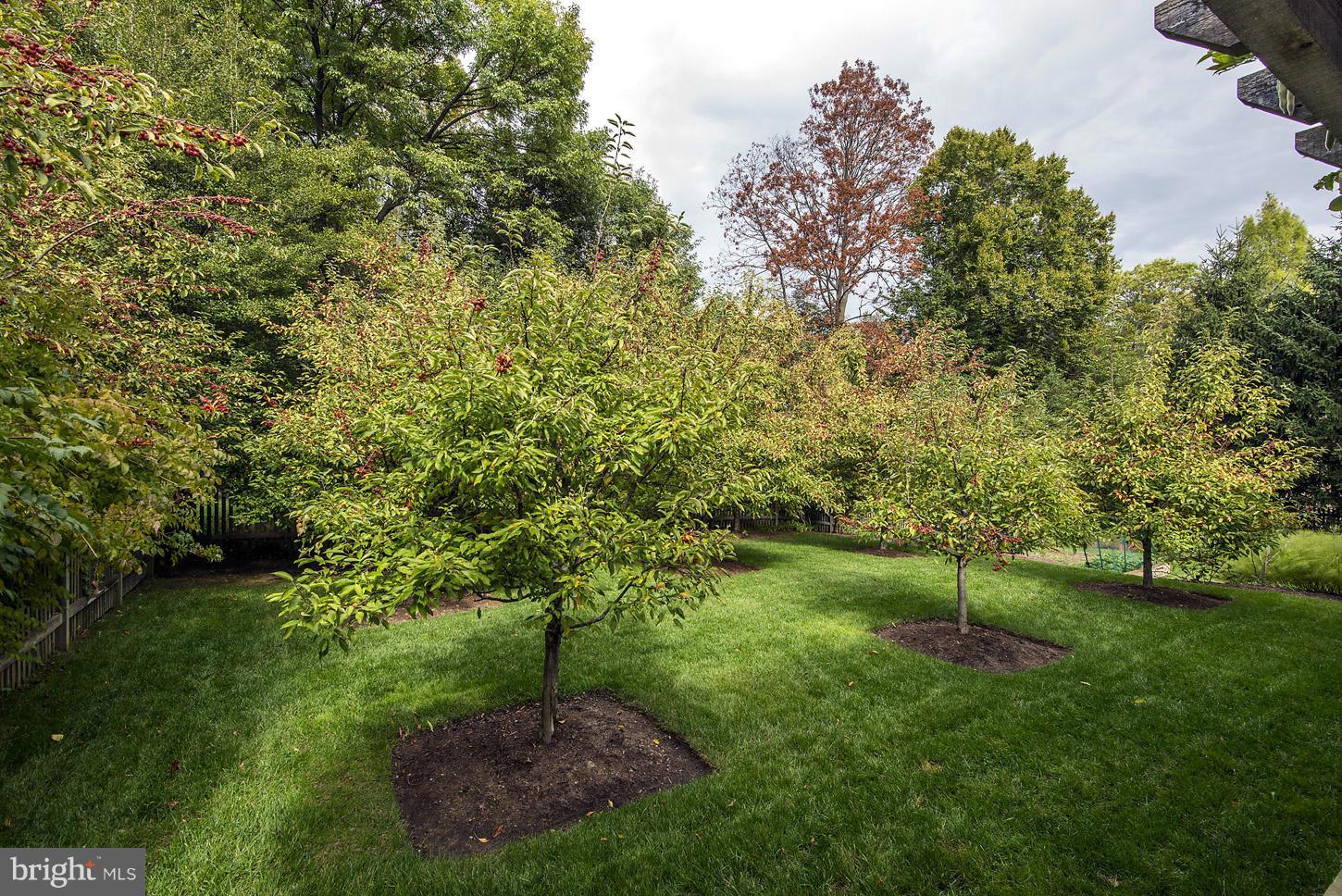 SOMERSET HEIGHTS - Residential