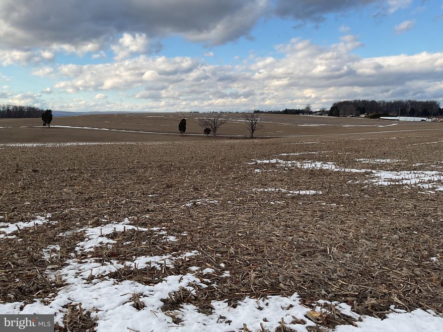 The close price on this property reflects the sold price for (2) parcels MLS PABK2053494 and PABK2053502 in entirety. This property is going to onsite auction 4/10/2025 at 12:00 PM and is being sold with reserve. LISTED PRICE IS ONLY A SUGGESTED OPENING BID AND IS NOT INDICATIVE OF THE FINAL SALES PRICE WHICH WILL BE BY SELLER CONFIRMATION DAY OF AUCTION.  Terms: Down payment of $50,000                  required day of auction. Settlement on or before June 11, 2025. Transfer taxes to be paid by buyer. Real Estate taxes shall be prorated.
Parcel # 2: 44.5 acres open tillable farmland. Gentle slope & great soils. Property is enrolled in Clean & Green but not preserved and zoned R-1 Residential. Down payment $50,000.00. Annual taxes +/-$4897.79.