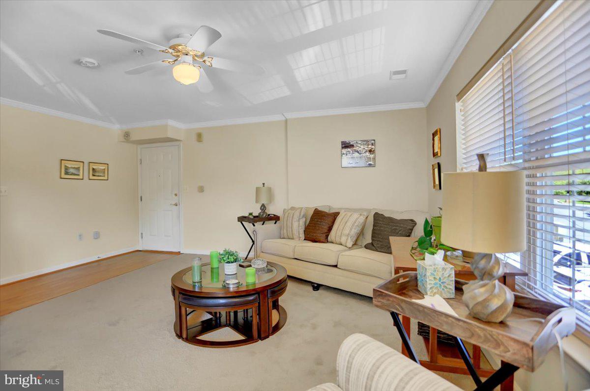 NELLS ACRES - Residential