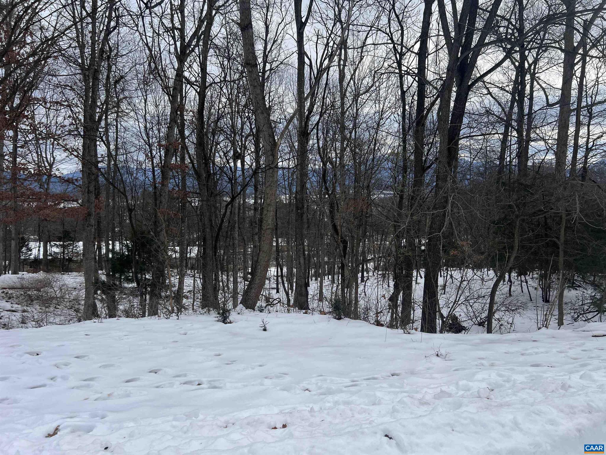 FOREST HILLS - Land