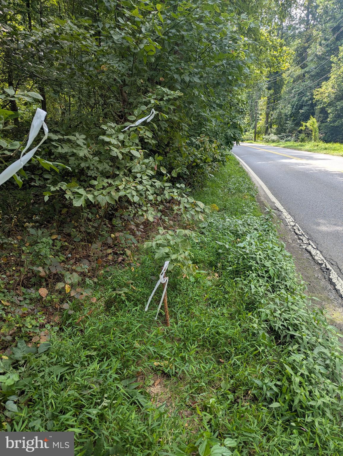 Approximately 3671 FLORAL PARK ROAD