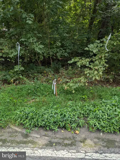 MLS: MDPG2165962