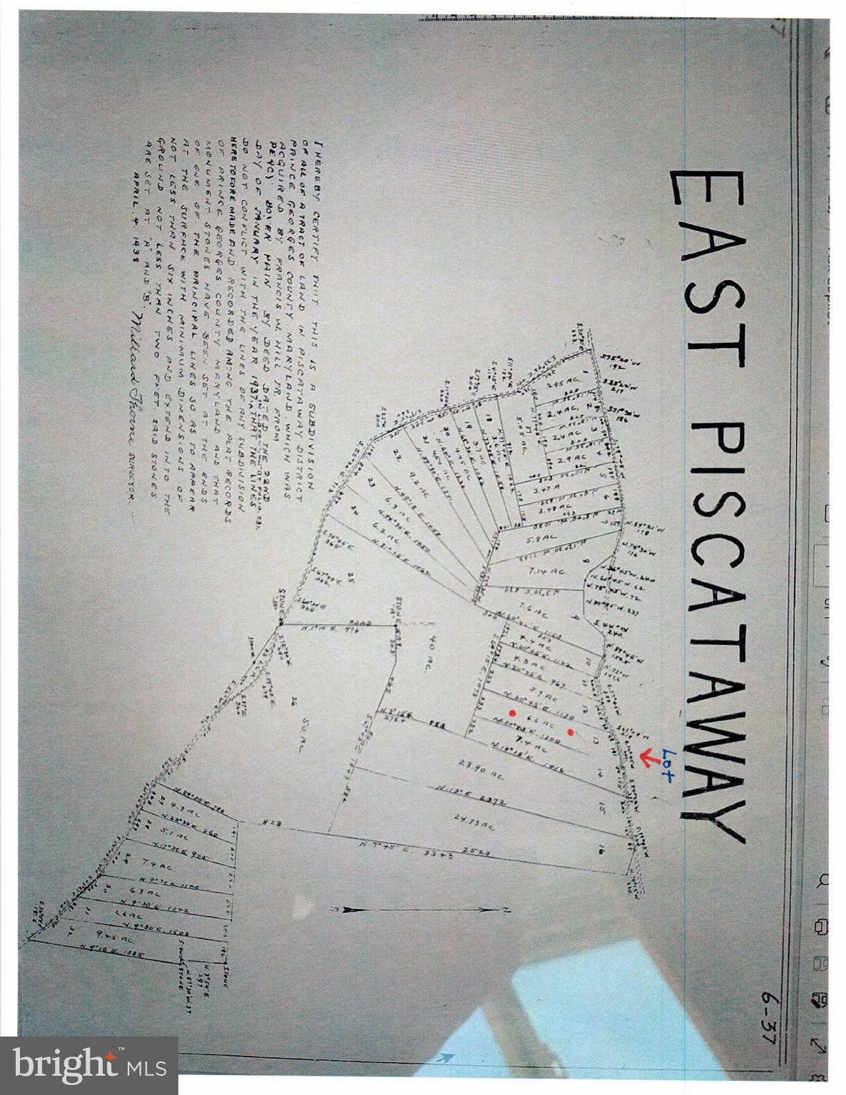 Main image without alt text