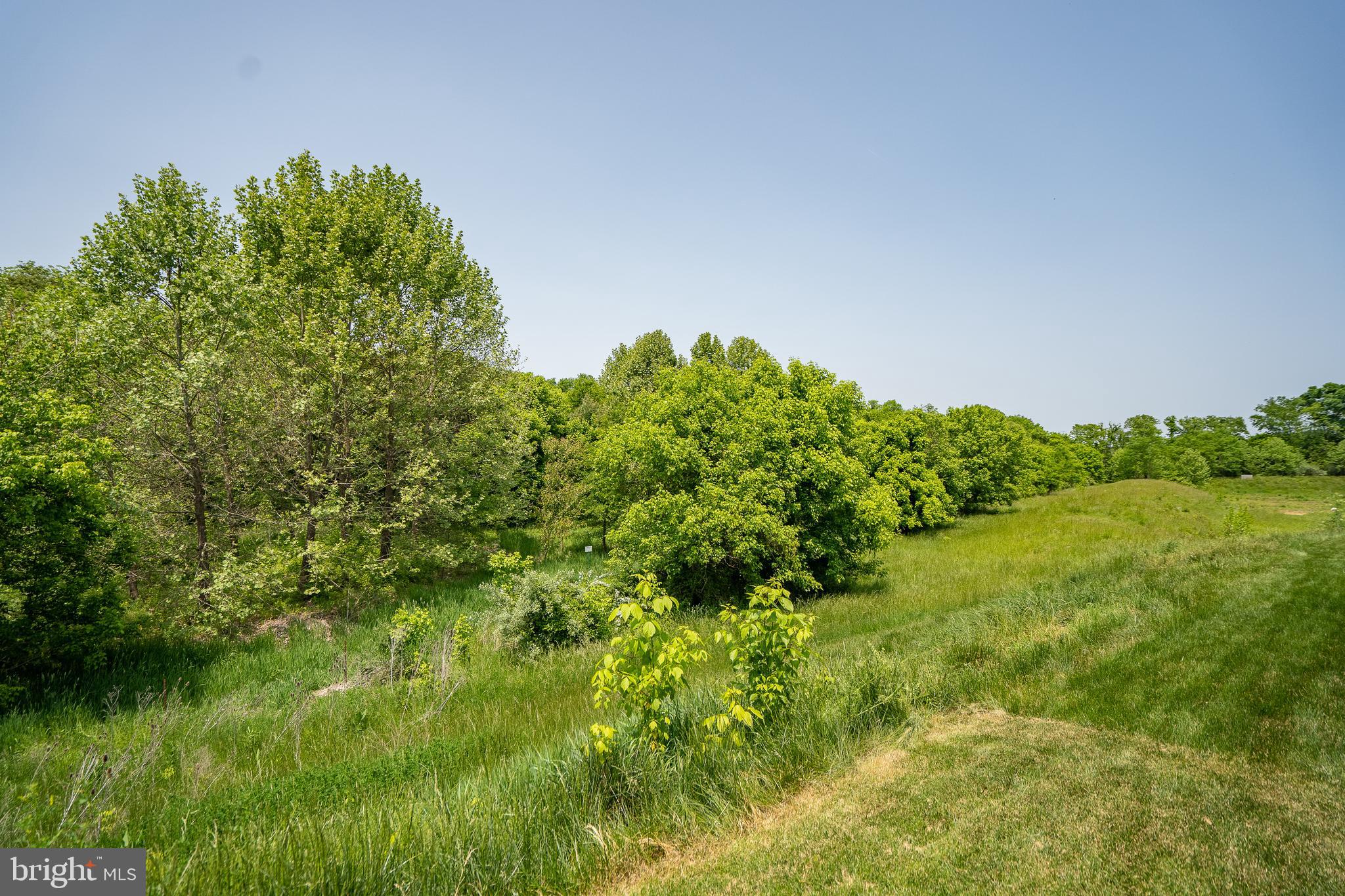 POTOMAC STATION - Residential