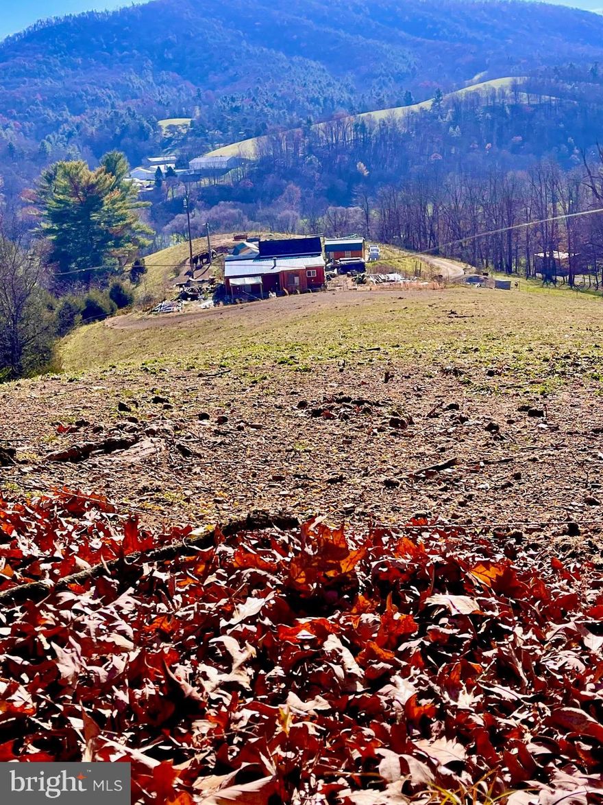 MOUNTAIN VIEWS AND SECLUSION! Facing the Bergton Mountains, this property offers open areas as well as wooded acreage.  If you are looking for a great hunting spot, come check this property out.  The home is being sold as-is, where-is.  Come add your finishing touches.  The home offers a electric, septic and well.  The  home is currently not hooked to the water and septic but does offer a bathroom in one of the sheds with running water.  This would be a great hunting shack or a get away spot for nature lovers.