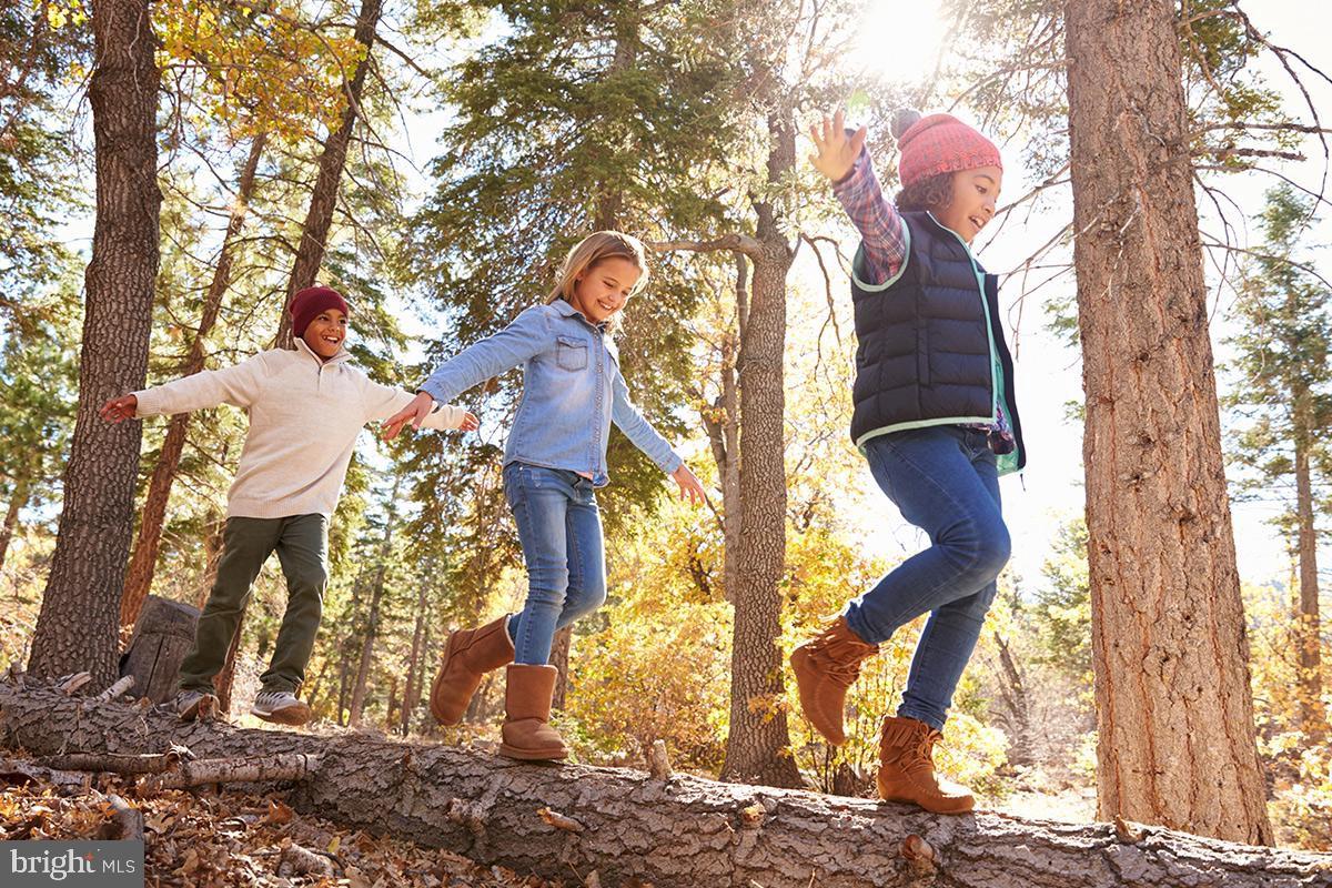 LAKE LINGANORE - Residential