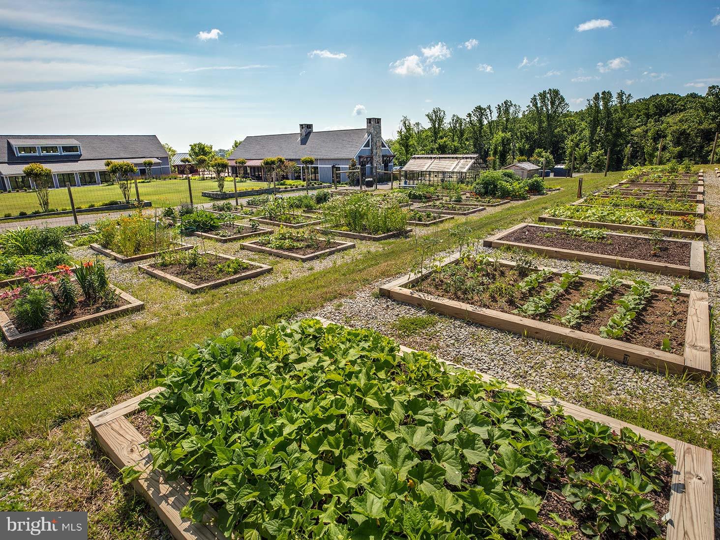 POTOMAC SHORES - Residential