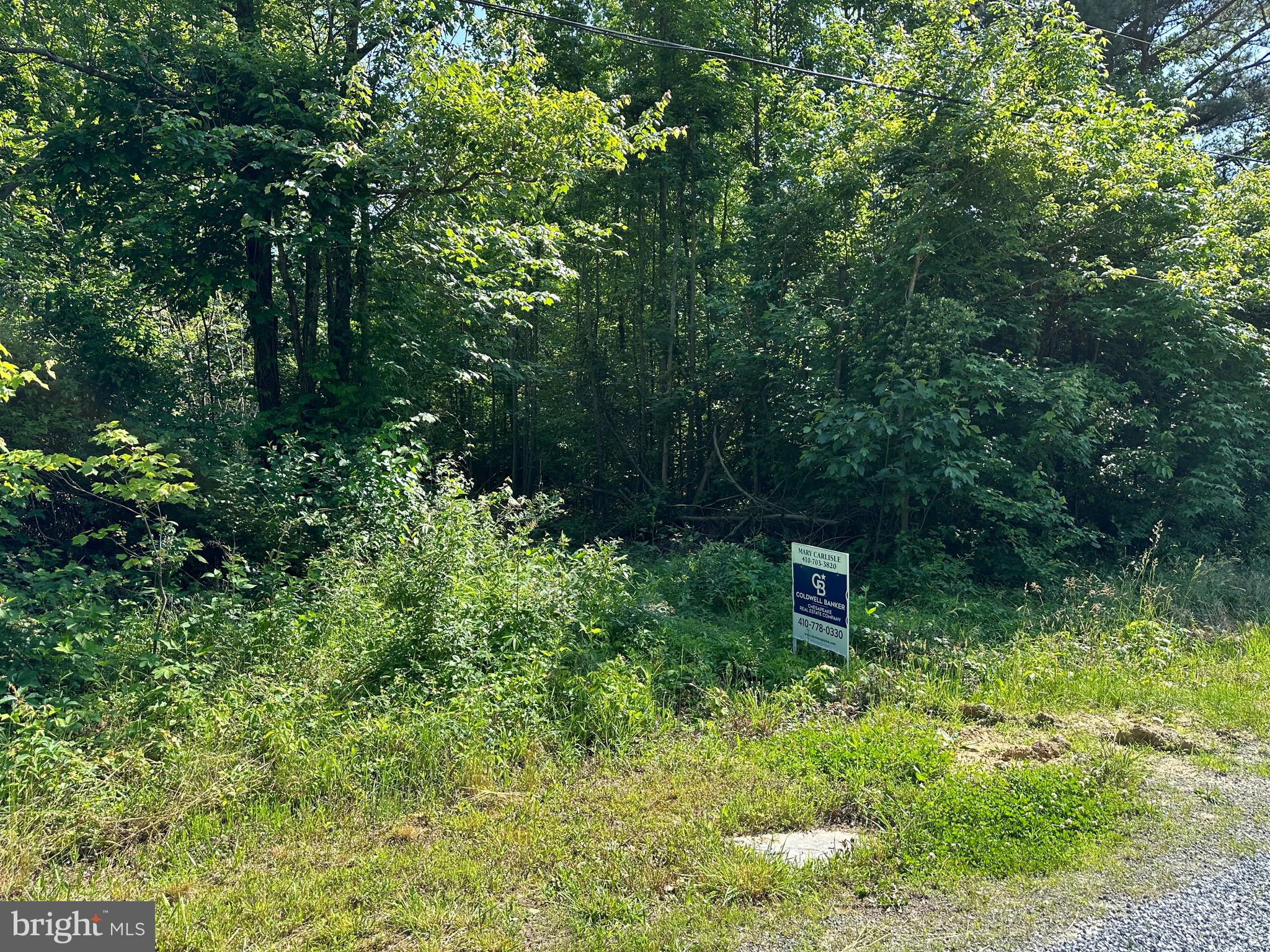 CHESAPEAKE LANDING - Land