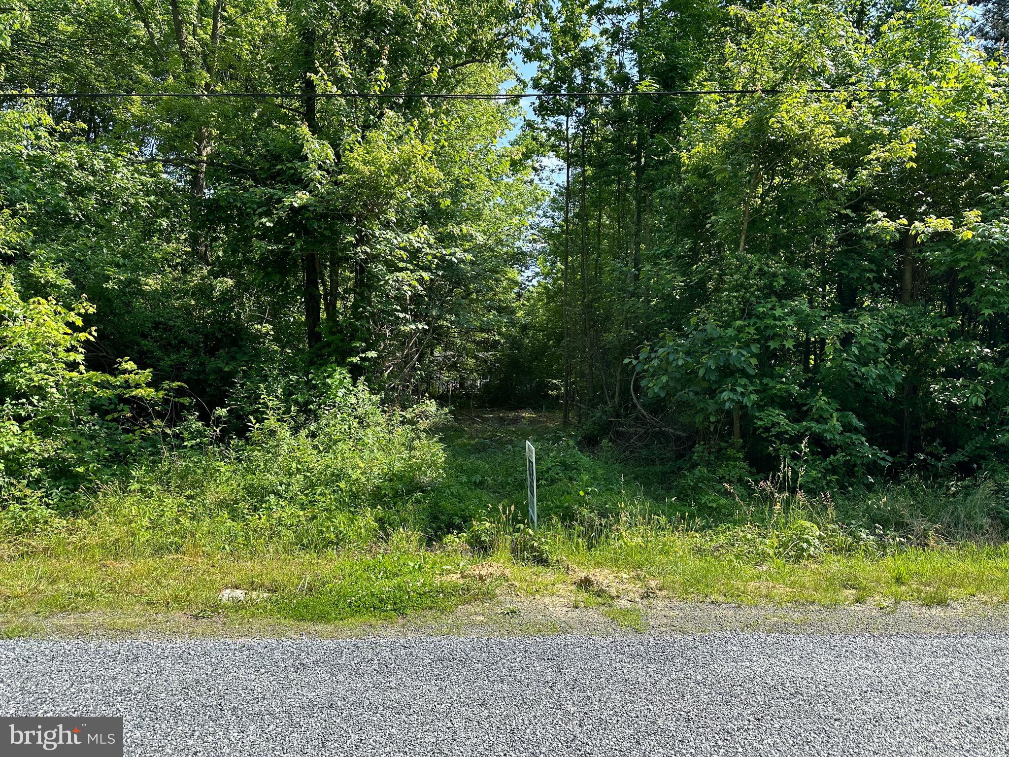 CHESAPEAKE LANDING - Land