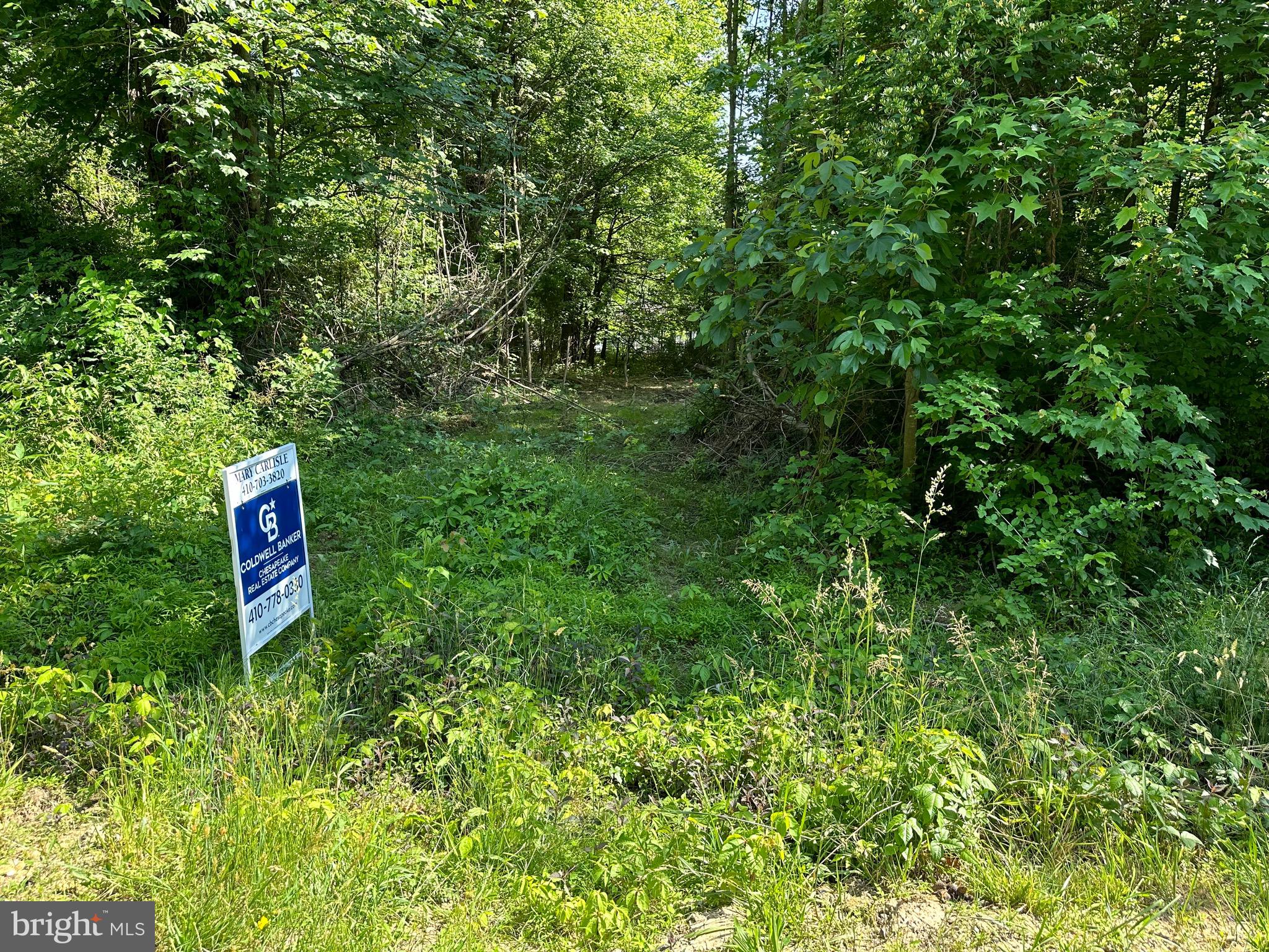 CHESAPEAKE LANDING - Land